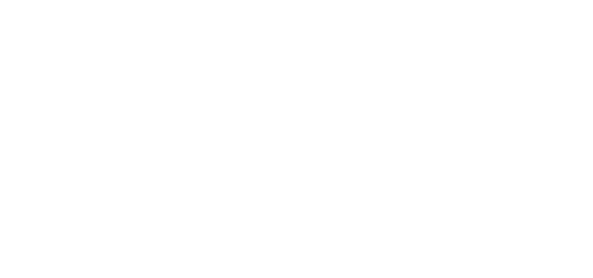 VIM Wealth Management logo