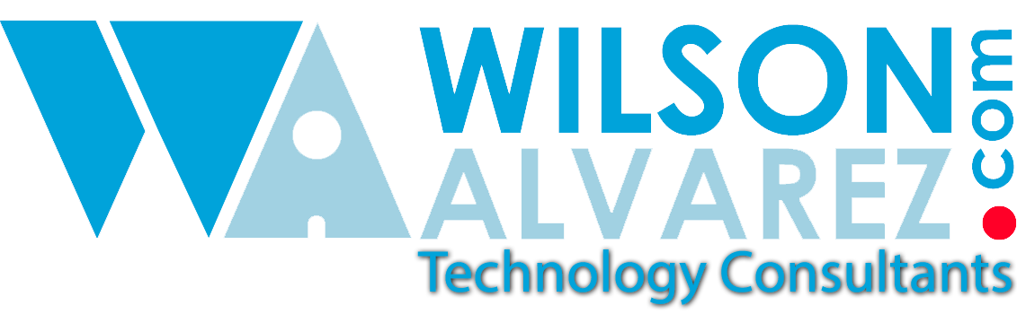 Wilson Alvarez Consulting Group logo